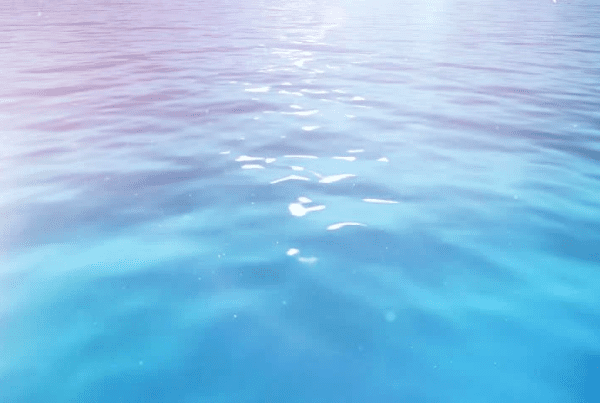 Calm, blue water with gentle ripples and light reflecting on the surface under soft, bright daylight.